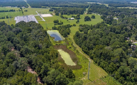 40 Acre Farm with 2 Ponds For Sale in Hamilton County, FL - image 7