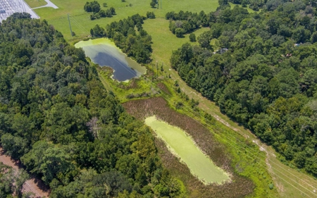 40 Acre Farm with 2 Ponds For Sale in Hamilton County, FL - image 21