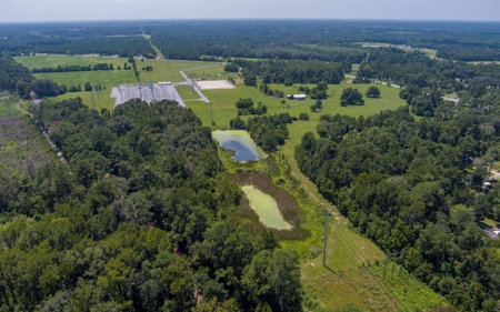 40 Acre Farm with 2 Ponds For Sale in Hamilton County, FL - image 12