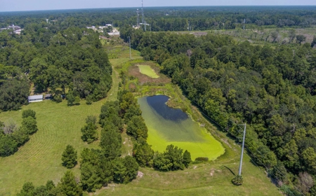 40 Acre Farm with 2 Ponds For Sale in Hamilton County, FL - image 8