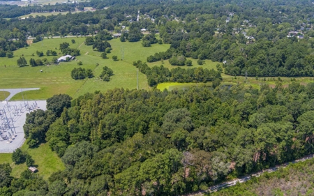 40 Acre Farm with 2 Ponds For Sale in Hamilton County, FL - image 14