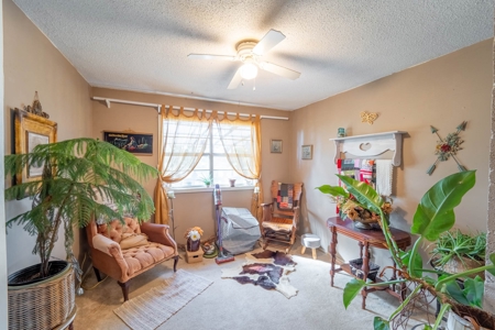 Country Home on 5+/- Acres in Ripley County, Missouri - image 12