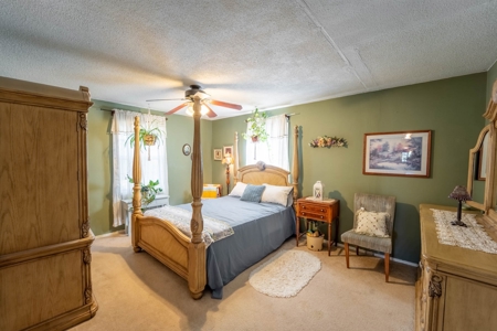 Country Home on 5+/- Acres in Ripley County, Missouri - image 14