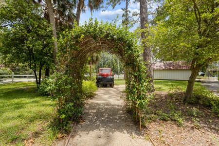 Home For Sale By Steinhatchee River For Only $299,000.00!!! - image 37