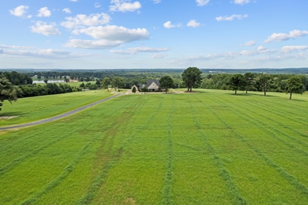 Land For Sale Near Tyler, Texas - image 8