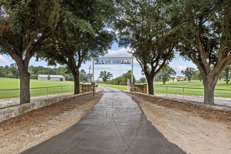 Land For Sale Near Tyler, Texas - image 4
