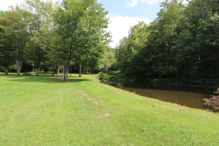 Escape to the Country - image 5