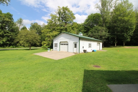 Escape to the Country - image 4