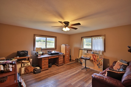 Home, Acreage, Irrigation, Workshop, Arena, Borders BLM - image 16