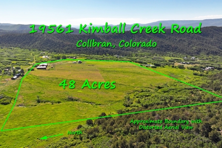 Home, Acreage, Irrigation, Workshop, Arena, Borders BLM - image 4
