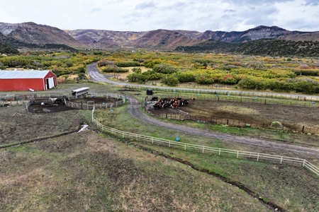 Home, Acreage, Irrigation, Workshop, Arena, Borders BLM - image 27