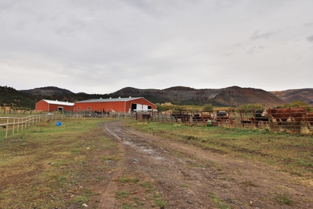 Home, Acreage, Irrigation, Workshop, Arena, Borders BLM - image 26