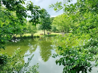 El Dorado Springs Missouri Country Home & 20 Acres For Sale - image 47