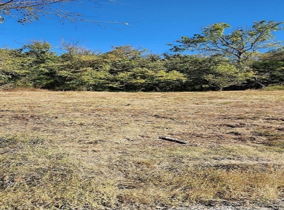 Unprecedented Opportunity: Estate Auction in Eidson, Tenness - image 1