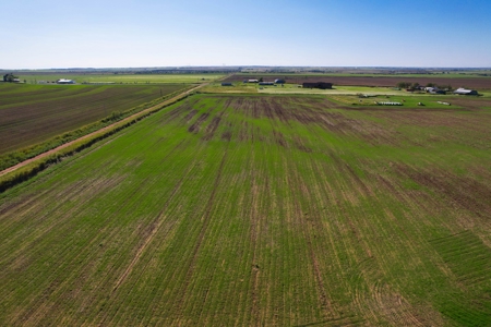 Caddo County, OK Acreage for Sale - image 19
