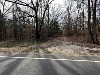 East Texas Recreational/Hunting Property For Sale - image 2