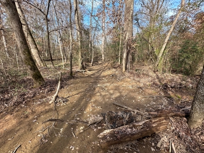 East Texas Recreational/Hunting Property For Sale - image 12
