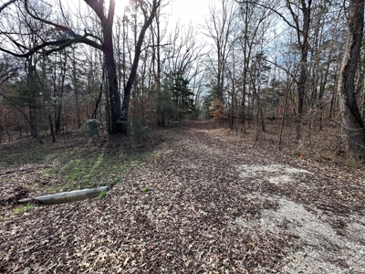 East Texas Recreational/Hunting Property For Sale - image 4
