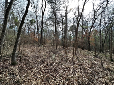 East Texas Recreational/Hunting Property For Sale - image 9
