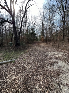 East Texas Recreational/Hunting Property For Sale - image 3