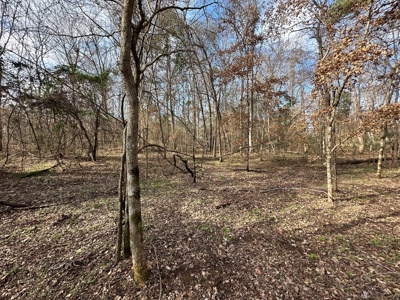 East Texas Recreational/Hunting Property For Sale - image 14