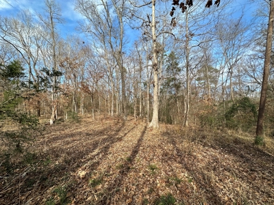 East Texas Recreational/Hunting Property For Sale - image 8
