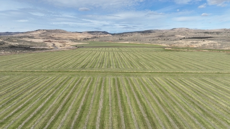 Eastern Oregon Circle Bar Ranch - image 4