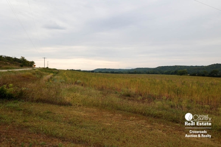 Tract #2 - Geary County, Kansas Tillable Farmland For Sale - image 3