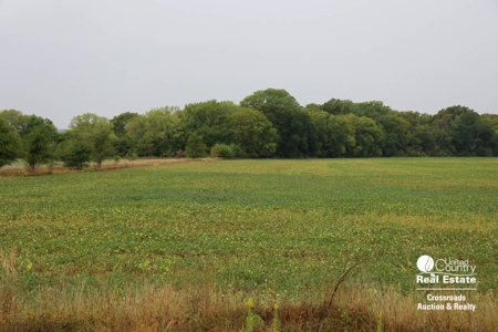 Tract #2 - Geary County, Kansas Tillable Farmland For Sale - image 15