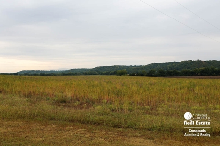 Tract #2 - Geary County, Kansas Tillable Farmland For Sale - image 4