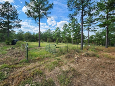 Winding Stair Mountain Homestead - Near National Forest - image 37