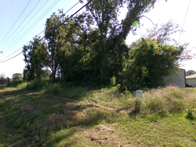 Commercial Lot Swainsboro, GA - image 2