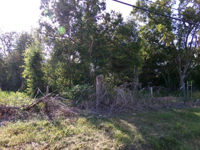 Commercial Lot Swainsboro, GA - image 3