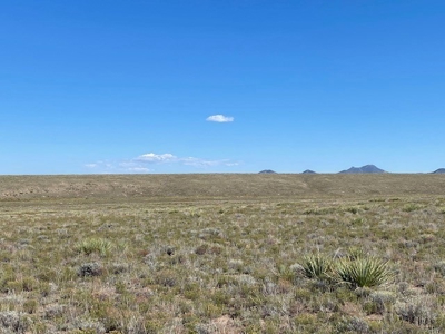 Mountain Property For Sale Near Westcliffe, Colorado - image 10