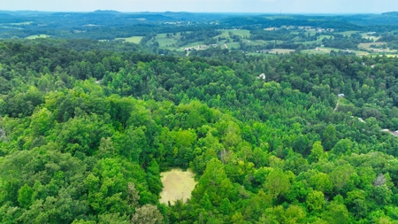 Accepted Offer in Rockholds, Kentucky - image 3