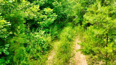 Accepted Offer in Rockholds, Kentucky - image 8