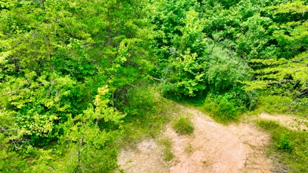Accepted Offer in Rockholds, Kentucky - image 5