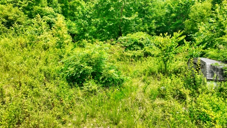 Accepted Offer in Rockholds, Kentucky - image 9