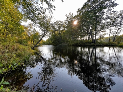 Charming New England Farmhouse with Acreage and Riverfront - image 13