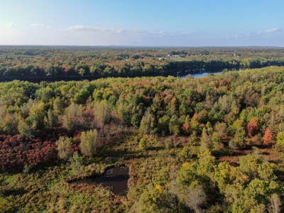 Charming New England Farmhouse with Acreage and Riverfront - image 5