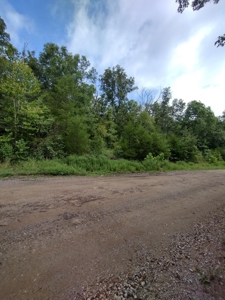 Land with Creek for Sale in Huntsville, Arkansas - image 12