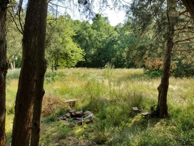 Land with Creek for Sale in Huntsville, Arkansas - image 9