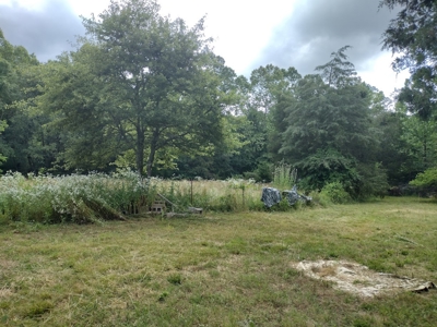 Land with Creek for Sale in Huntsville, Arkansas - image 8