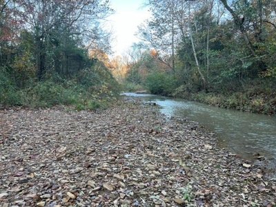 Land with Creek for Sale in Huntsville, Arkansas - image 6