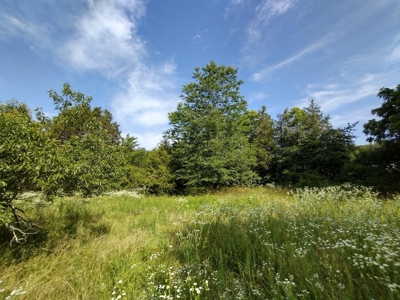 Land with Creek for Sale in Huntsville, Arkansas - image 18