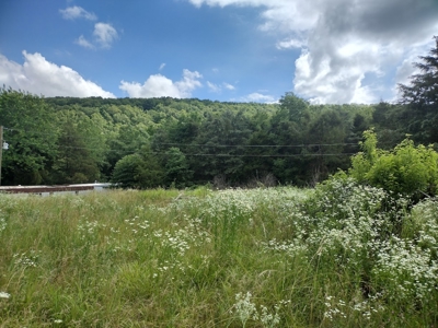 Land with Creek for Sale in Huntsville, Arkansas - image 11