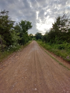 Land with Creek for Sale in Huntsville, Arkansas - image 15