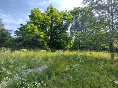 Land with Creek for Sale in Huntsville, Arkansas - image 16