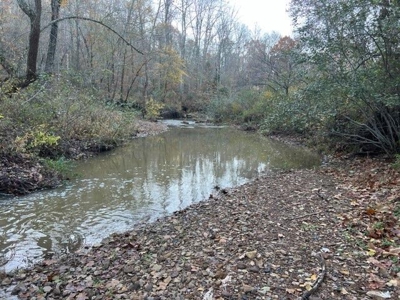 Land with Creek for Sale in Huntsville, Arkansas - image 7