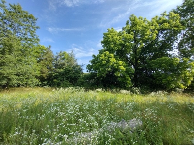 Land with Creek for Sale in Huntsville, Arkansas - image 17